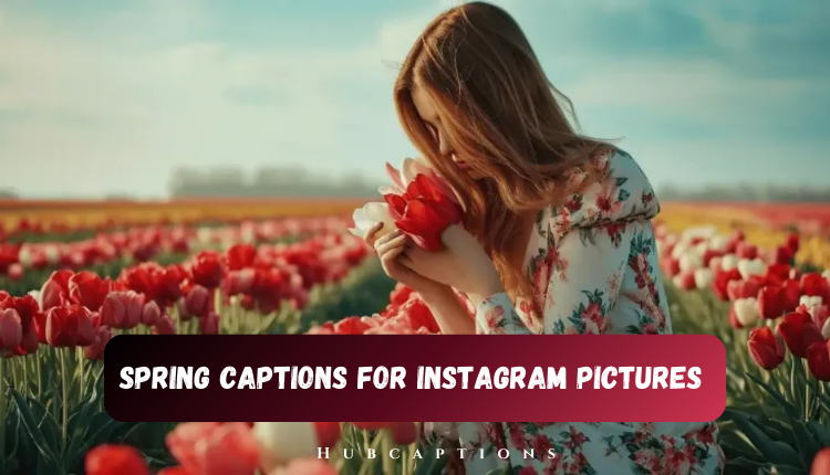 Spring Captions for Instagram Pictures