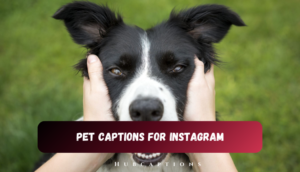 Pet Captions for Instagram